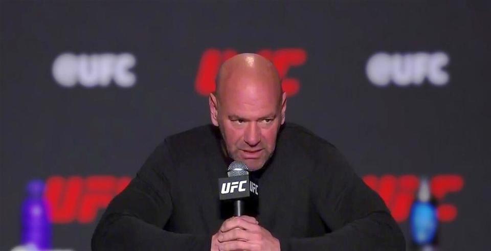 是高达, 并未经允许, 获得相应的