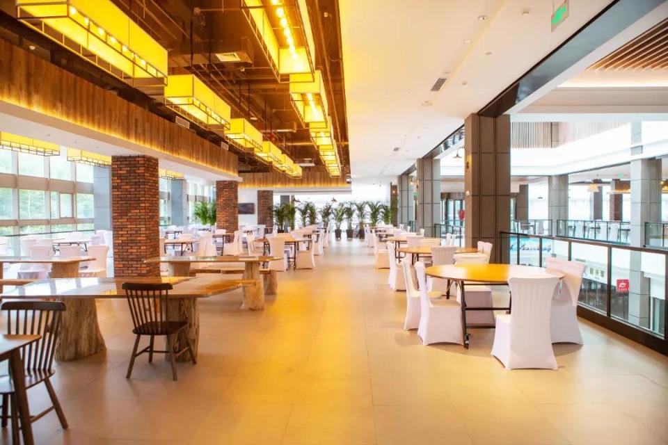 冰雪新玩法, OGN