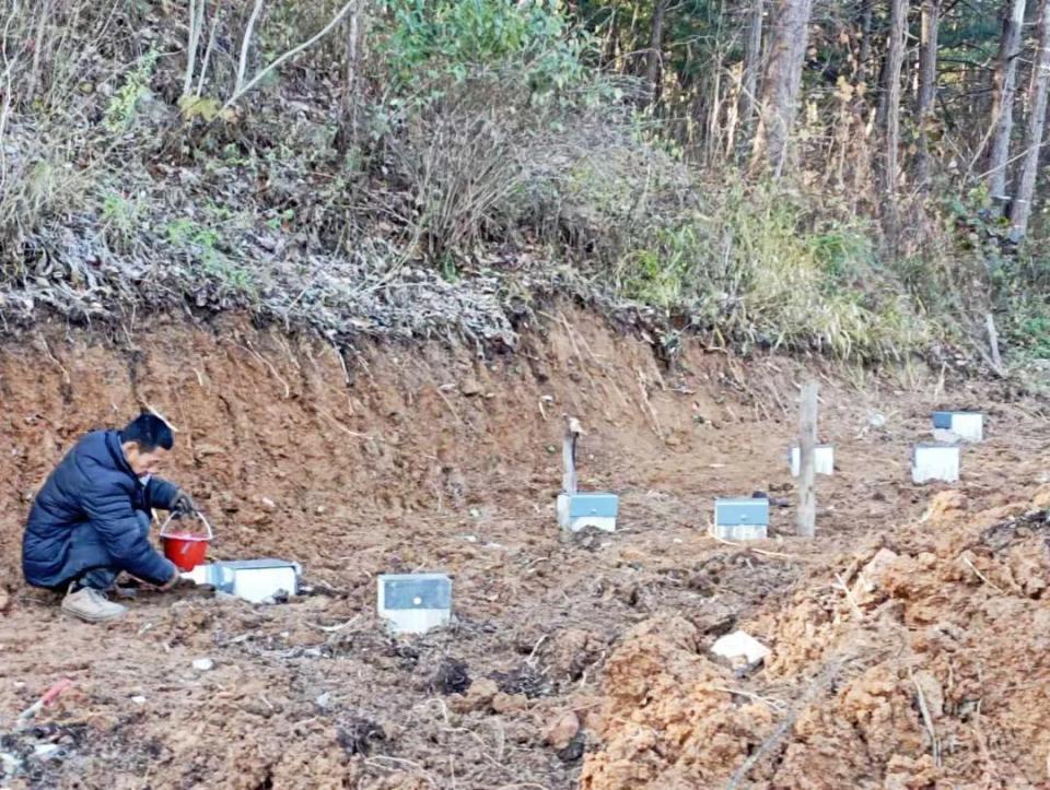资料图片, 的滑雪冬令